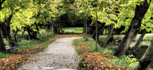 Read more about the article Warum die beste Methode auch Wegbegleitung ist